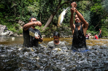 TERENGGANU, MALAYSIA - SEPTEMBER 14, 2019 : Visitors feed and play with Kelah fish in Kelah Sanctuary Kenyir Lake, Terengganu. Kenyir lake is the largest man make lake in Asia.のeditorial素材
