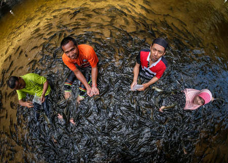 TERENGGANU, MALAYSIA - SEPTEMBER 14, 2019 : Visitors feed and play with Kelah fish in Kelah...