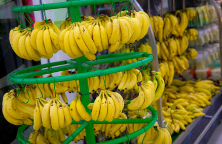 KUALA LUMPUR, MALAYSIA - SEPTEMBER 15, 2019 : Fresh banana on the shelf at supermarket.のeditorial素材