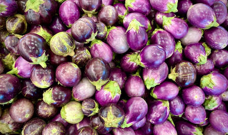 KUALA LUMPUR, MALAYSIA - APRIL 15, 2020 : Fresh brinjal display on the shelf at supermarket.のeditorial素材
