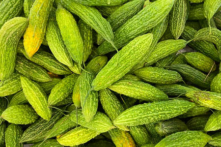 KUALA LUMPUR, MALAYSIA - APRIL 15, 2020 : Fresh bitter gourd display on the shelf at supermarket.のeditorial素材