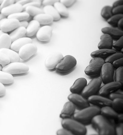 Opposition black and whiteの写真素材