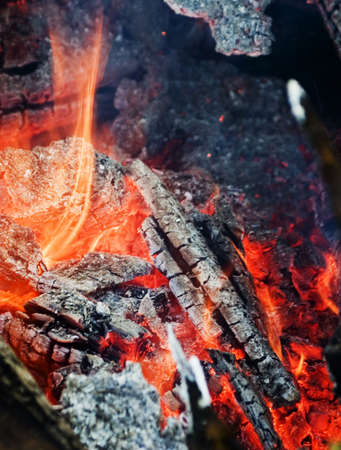 a flame of a fire and ashesの写真素材