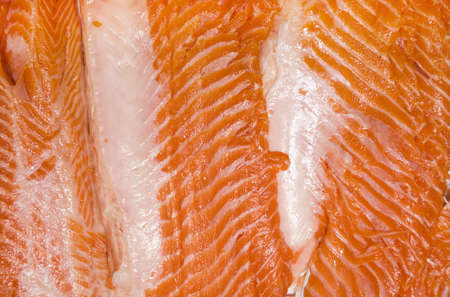 salmons backgroundの写真素材