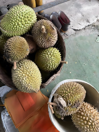 Durian fruits displayed in woven baskets on a concrete floorのeditorial素材