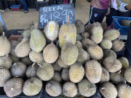 Pile of spiky durian fruits with price sign at a market stallのeditorial素材