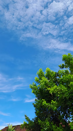 Vibrant blue sky with white clouds and green foliageのeditorial素材