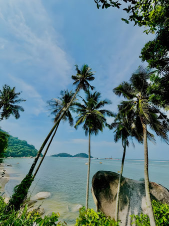 Serene tropical beach with palm trees and calm seaの写真素材