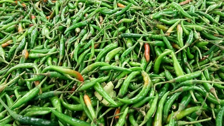 Green chiliesの素材