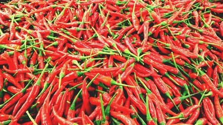 Red chiliesの素材