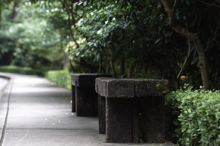 An old weathered wood chair in the gardenの写真素材