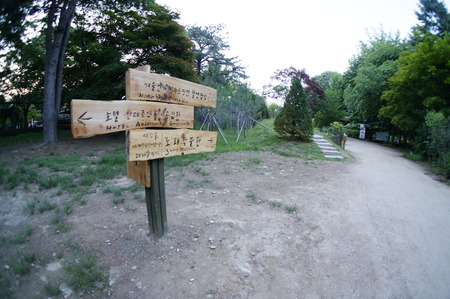 Creative Wood Directional Signs at Nami Islandのeditorial素材