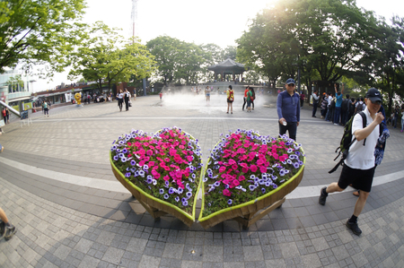 Beautiful love decoration with flower at Namsan and Seoul Towerのeditorial素材