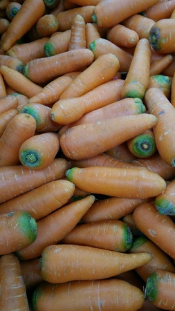 Fresh and delicious carrots in streets marketの素材
