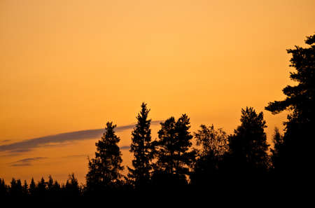 scandinavian summer sunsetの写真素材