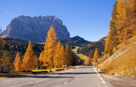 Scenic roadway in Dolomite Alps with beautiful yellow larch trees and Sassolungo - Langkofel - mountain on background. Colorful autumn day in Dolomites, Selva di Val Gardena location, Italyの写真素材