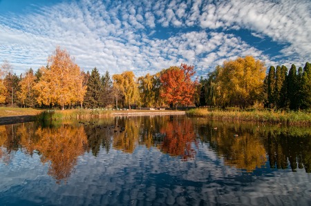 Beautiful autumn park with colorful trees and scenic sky reflected in the waterの写真素材