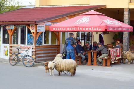 Street view of traditional romanian village, Sapanta, Maramures, Romaniaのeditorial素材