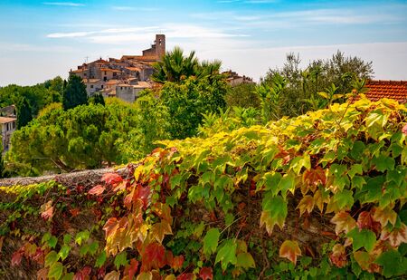 Red and green grape leaves and panoramic view of Saint-Paul-de-Vence town in Provence, France jn...