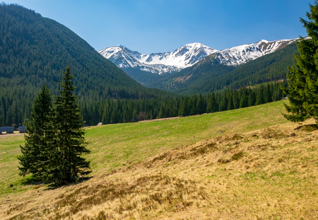 Beautiful Chocholowska Clearing with snowcapped mountains in the background, Tatra Mountains, Poland at sunny spring dayの写真素材