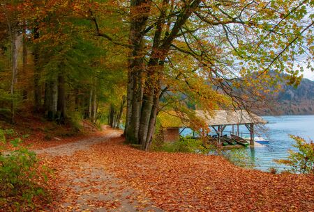 Autumn scenery with park around Alpsee lake and dock for tourist boats near famous Neuschwanstein, Germanyの写真素材