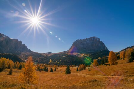 Autumn scenery in Alpine valley with yellow larch tree and Sassolungo (Langkofel) mountain on...