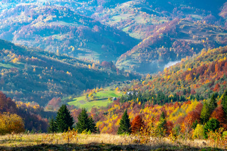 Amazing colorful autumn morning in the Carpathian mountains.の写真素材