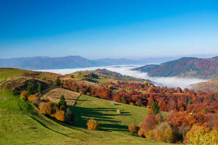 Amazing autumn morning in the Carpathian mountains. Colorful hills at sunlit and the fog sits belowの写真素材