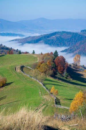 Amazing autumn morning in the Carpathian mountains. Colorful hills at sunlit, dirt road and the fog sits belowの写真素材