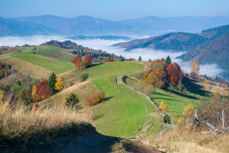 Amazing autumn morning in the Carpathian mountains. Colorful hills at sunlit, dirt road and the fog sits belowの写真素材