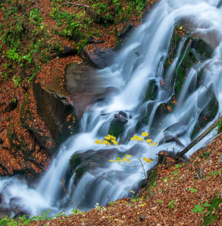 Beautiful autumn waterfall. Yellow maple leaves on small branch with stream of mountain waterfall in background. Shypot, Carpathian mountains, Ukraineの写真素材