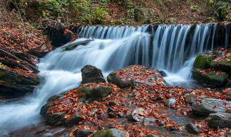 Beautiful autumn waterfall. Red beech leaves on stones with stream of mountain waterfall in background. Carpathian mountains, Ukraineの写真素材