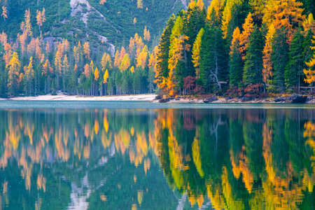 Autumn scenery on Braies Lake, Dolomite Alps, Italy. Colorful trees reflected in mirror surface of the waterの写真素材