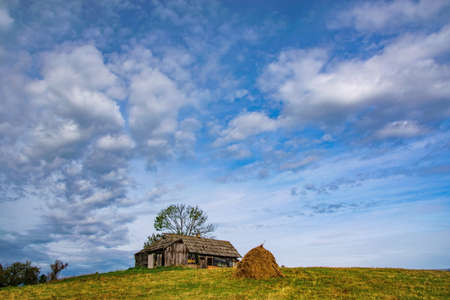 Haystack, mountain wooden hut and lonely tree on the top of the hill under the picturesque sky, Borsa, Maramures, Romaniaの写真素材