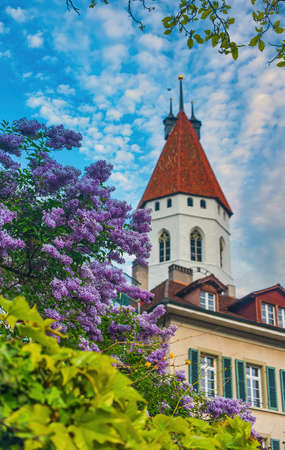 Blooming lilac and central church of Thun against picturesque sky, Switzerland.の写真素材