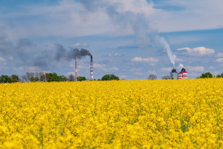 Blooming canola field on foreground and industrial pipes with smoke on background. Ecology concept.の写真素材