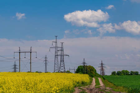 Dirt road in blooming canola field. High voltage electric line background. agriculture conceptの写真素材