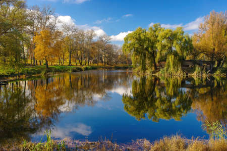 Autumn scenery of public park in Trostyanets, Sumy region, Ukraine. yellowed trees reflected in water of pondの写真素材