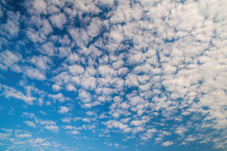 Beautiful sky background with picturesque cirrocumulus clouds.