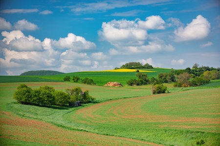 Idyllic rolling hills bathed in sunlight with vibrant green fields and fluffy white clouds creating a picturesque landscapeの写真素材