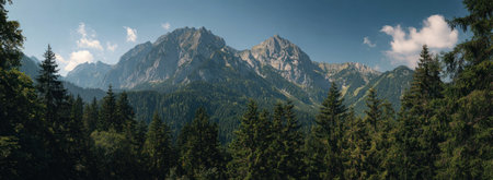 This image features a sprawling mountain range in the distance, with dense green forests in the foreground. The composition highlights the natural beauty, with varying shades of green and blue. The scene is bathed in daylight, suggesting an outdoor setting. Suitable for travel or environmental projects, this image offers versatile commercial applications.の素材