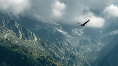 An eagle soars gracefully above towering mountain peaks shrouded in mist. The aerial perspective reveals a dramatic landscape with muted tones of blue and green. The image captures a sense of freedom and exploration. Suitable for editorial and commercial applications, including travel and nature content.の素材