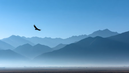 An eagle glides against a backdrop of blue mountains and a clear sky. The silhouette of the bird contrasts with the layered texture of the mountain range. The image utilizes shades of blue, suggesting a day scene with soft lighting. This photograph could be used for various editorial and commercial applications.の素材