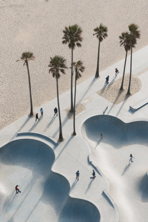 An overhead view features several palm trees casting long shadows on a concrete skatepark. Silhouettes of people on skateboards are visible. The scene has a minimalist style with pastel hues. The image suggests a sunny day. It is appropriate for commercial and editorial uses such as lifestyle content.の素材