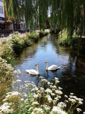 Two white swans glide gracefully on a calm river surrounded by vibrant green foliage and delicate white flowers. The image showcases natural sunlight reflecting on the water and the birds' feathers. This serene composition suggests a peaceful outdoor environment suitable for various commercial and editorial applications.の素材