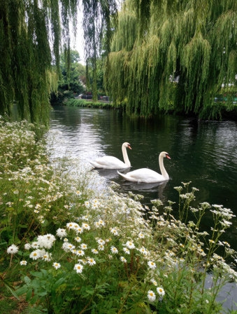 Two elegant swans glide gracefully on a tranquil river. The scene showcases vibrant green foliage of weeping willow trees, white flowers, and lush grasses. Overhead lighting illuminates the water surface. The image could be suitable for nature-themed projects or editorial content.の素材