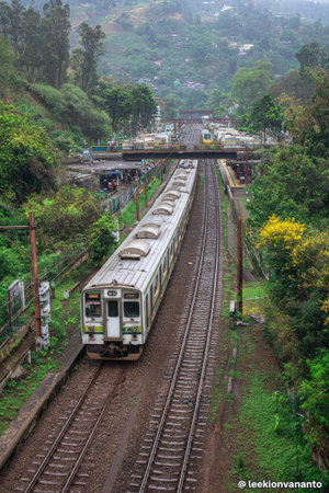 A passenger train travels along railway tracks through a green, vibrant landscape. The image features a top-down perspective, showcasing the train, tracks, and surrounding natural environment. Overhead bridges and power lines are visible. This photograph could be utilized for various commercial and editorial purposes.の素材