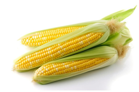 Corn on a White Background Generative AIの素材