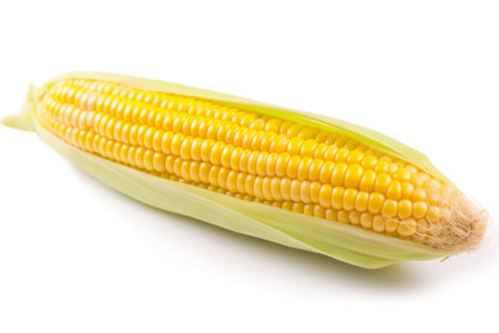 Isolated Corn white Background. Generative AIの素材