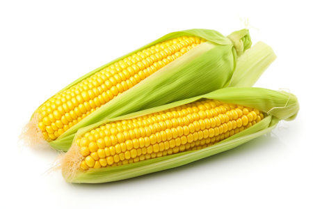 Isolated Corn white Background. Generative AIの素材
